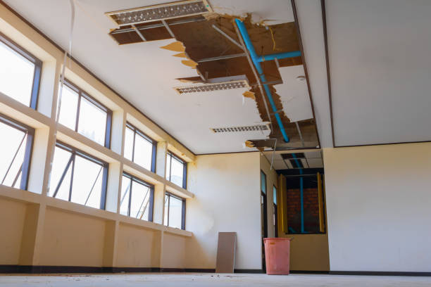 Best Carpet water damage restoration  in Enid, OK