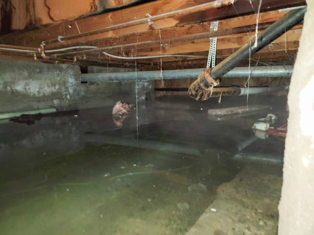 Best Sewage cleanup and water damage restoration  in Enid, OK