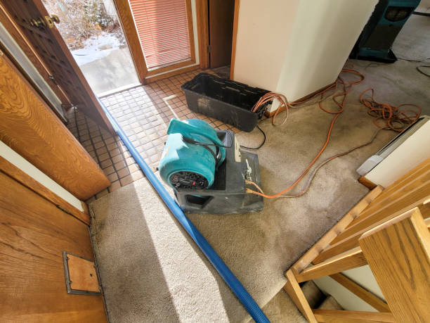 Best Residential water damage restoration  in Enid, OK