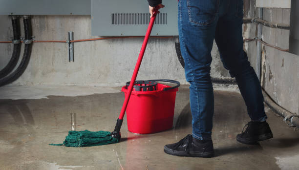 Best Flood damage cleanup  in Enid, OK